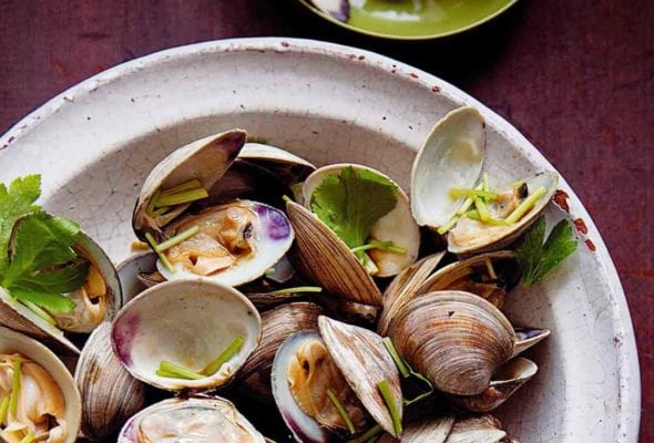 Bowl of grilled littleneck clams with soy sauce, cilantro leaves, and chopsticks