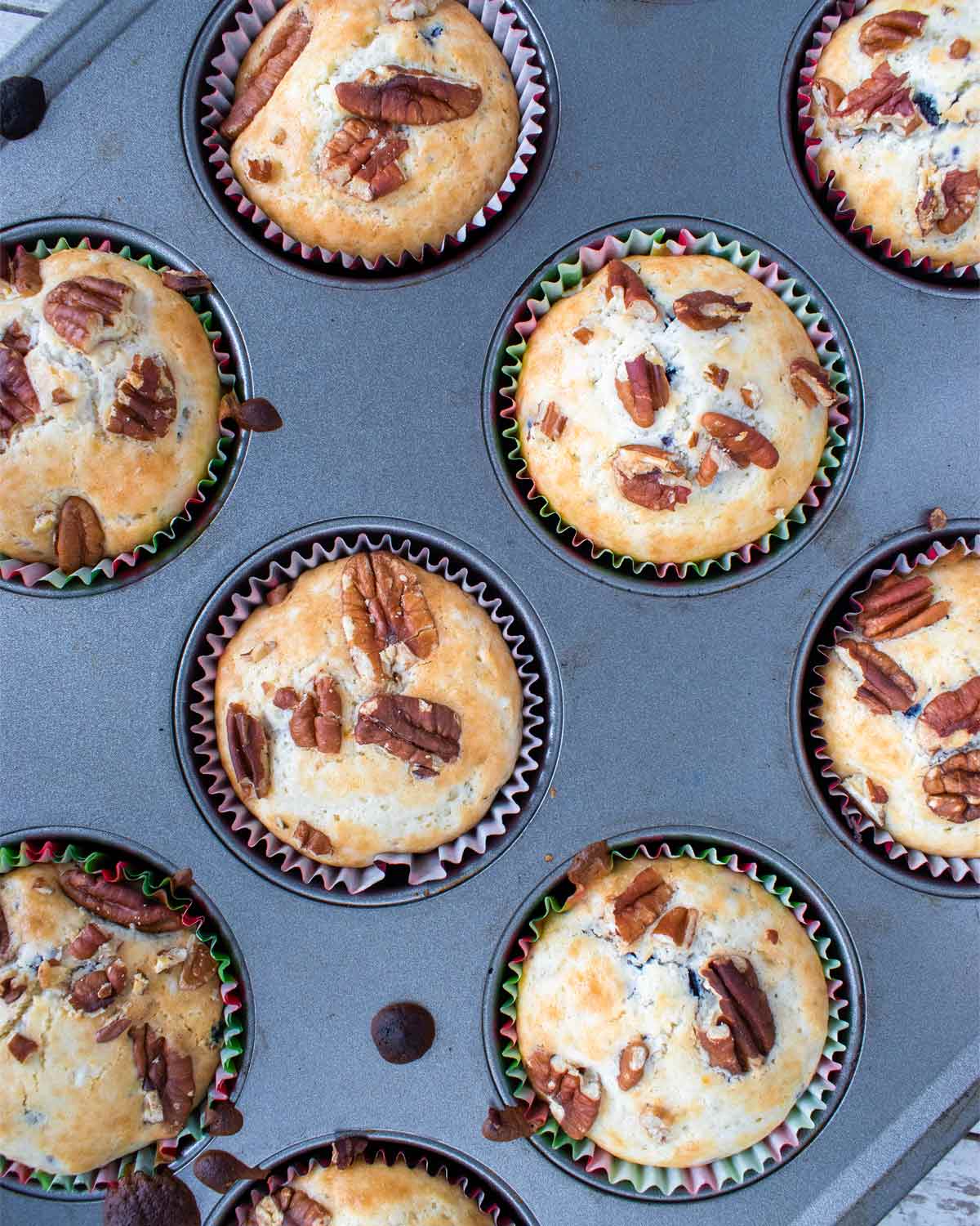 Baked blueberry pecan muffins in a muffin tin.