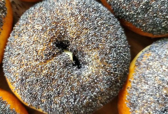 Seven sourdough bagels topped with poppy seeds.