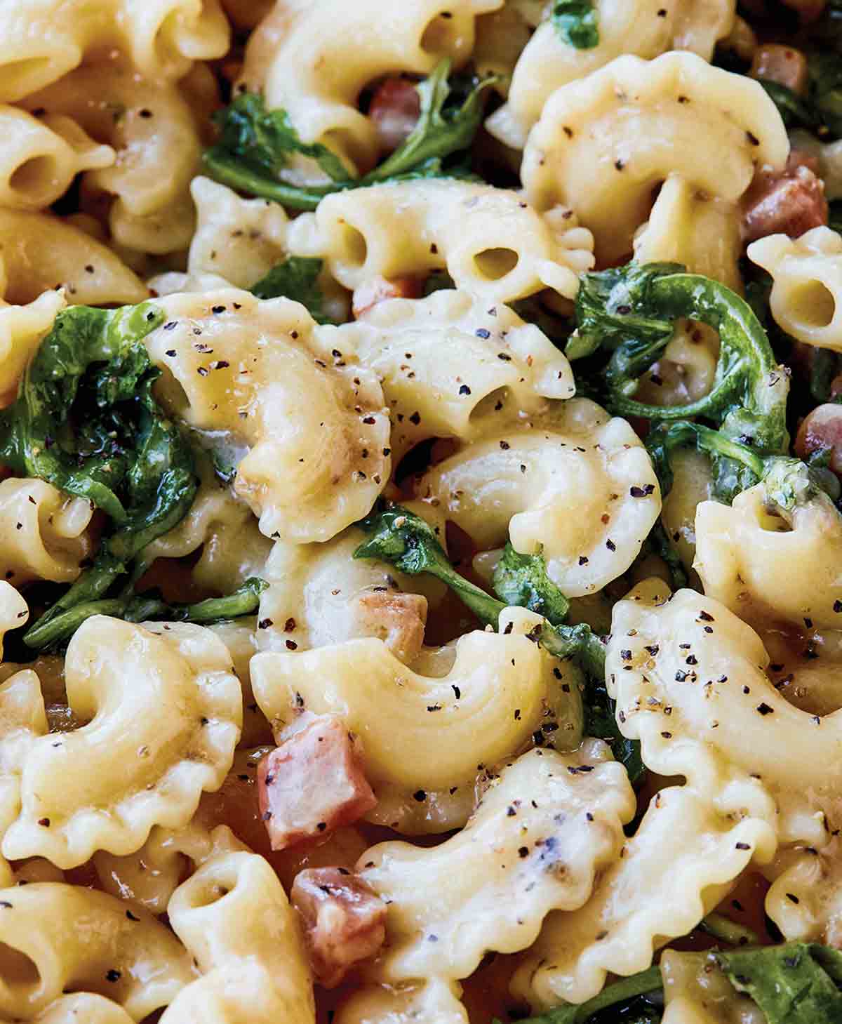 Curly pasta, arugula, pancetta, ina creamy cheese sauce dotted with pepper
