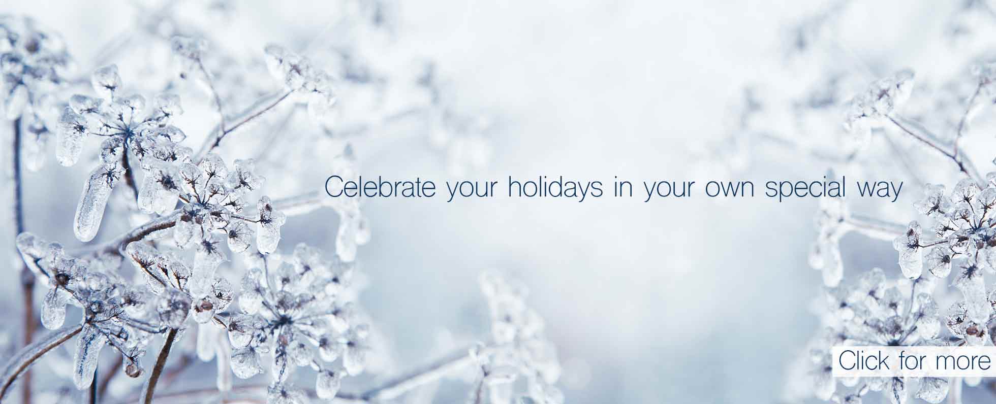 Winter Holidays