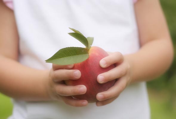 Michel Richard’s Peach Slaw Recipe