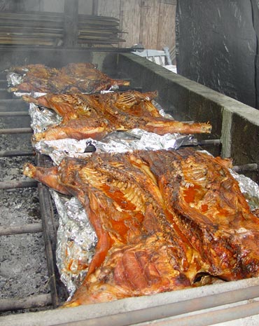 Hogs at the ready