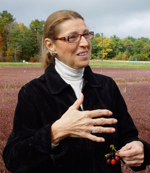 Roseann DeGrenier Roseann DeGrenier