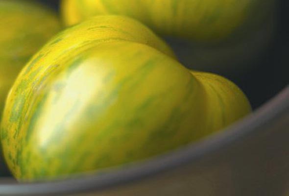 Corn and Green Tomato Salad